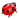 Bug